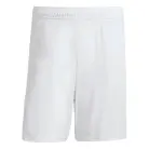 Ajax 125 Jarig Jubileum Korte Broek