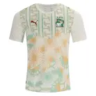 Ivoorkust Uit Voetbalshirt 2026