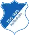 TSG Hoffenheim