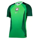 Nigeria Thuis Aero-FIT Voetbalshirt 2026