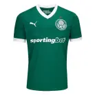 Palmeiras Thuis Shirt 25/26