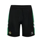 Real Betis Thuis Korte Broek 25/26