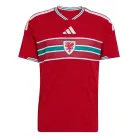 Wales Thuis Voetbalshirt 2026