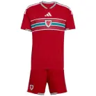 Wales Thuis Voetbaltenue 2026